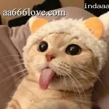 Uu Ruzhanul profile picture